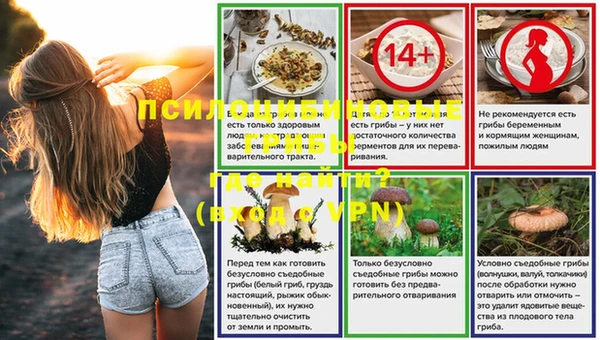 трава Алзамай