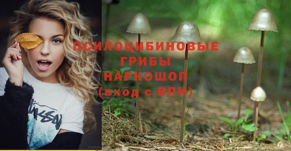 прущая мука Абдулино