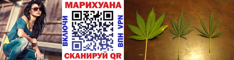 нарко площадка состав  где продают наркотики  Черноголовка  Марихуана сатива 